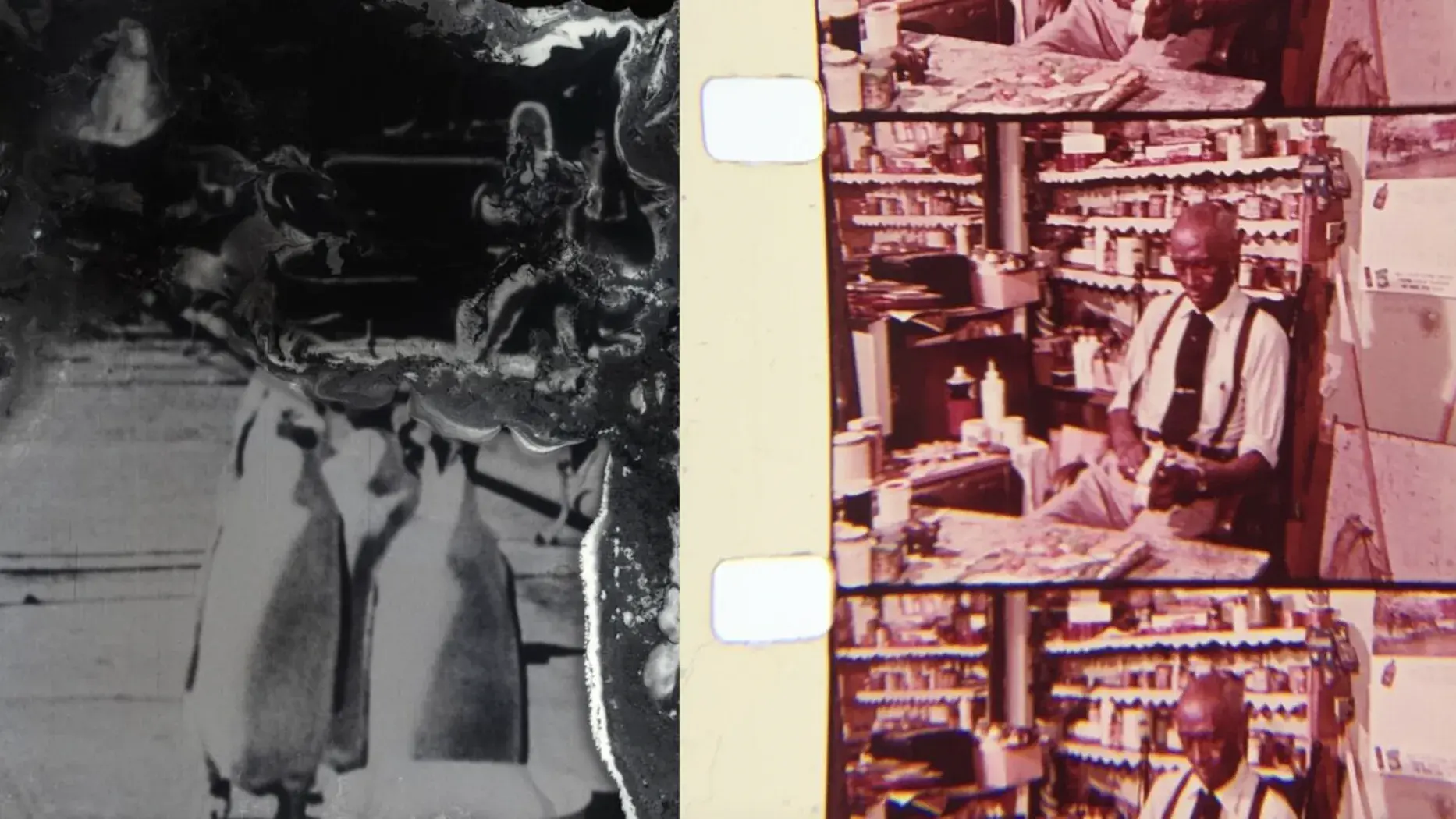Left side shows a faded, abstract black-and-white image of penguins. Right side displays a series of color film strips with a man seated in a store or workshop.