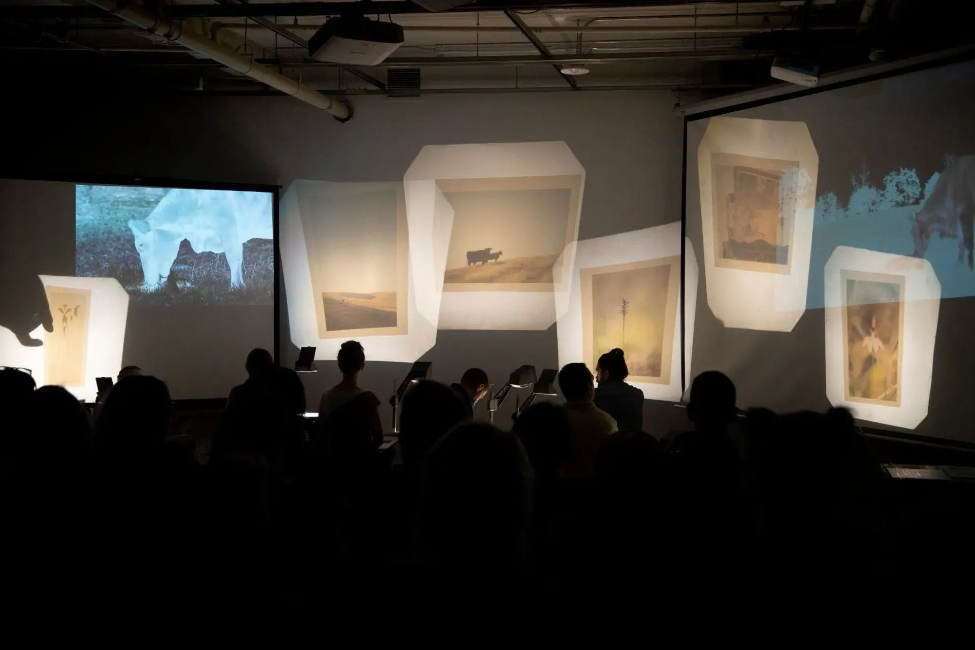 Projected images on screens and walls in a dark room with people seated and working with the overhead projectors