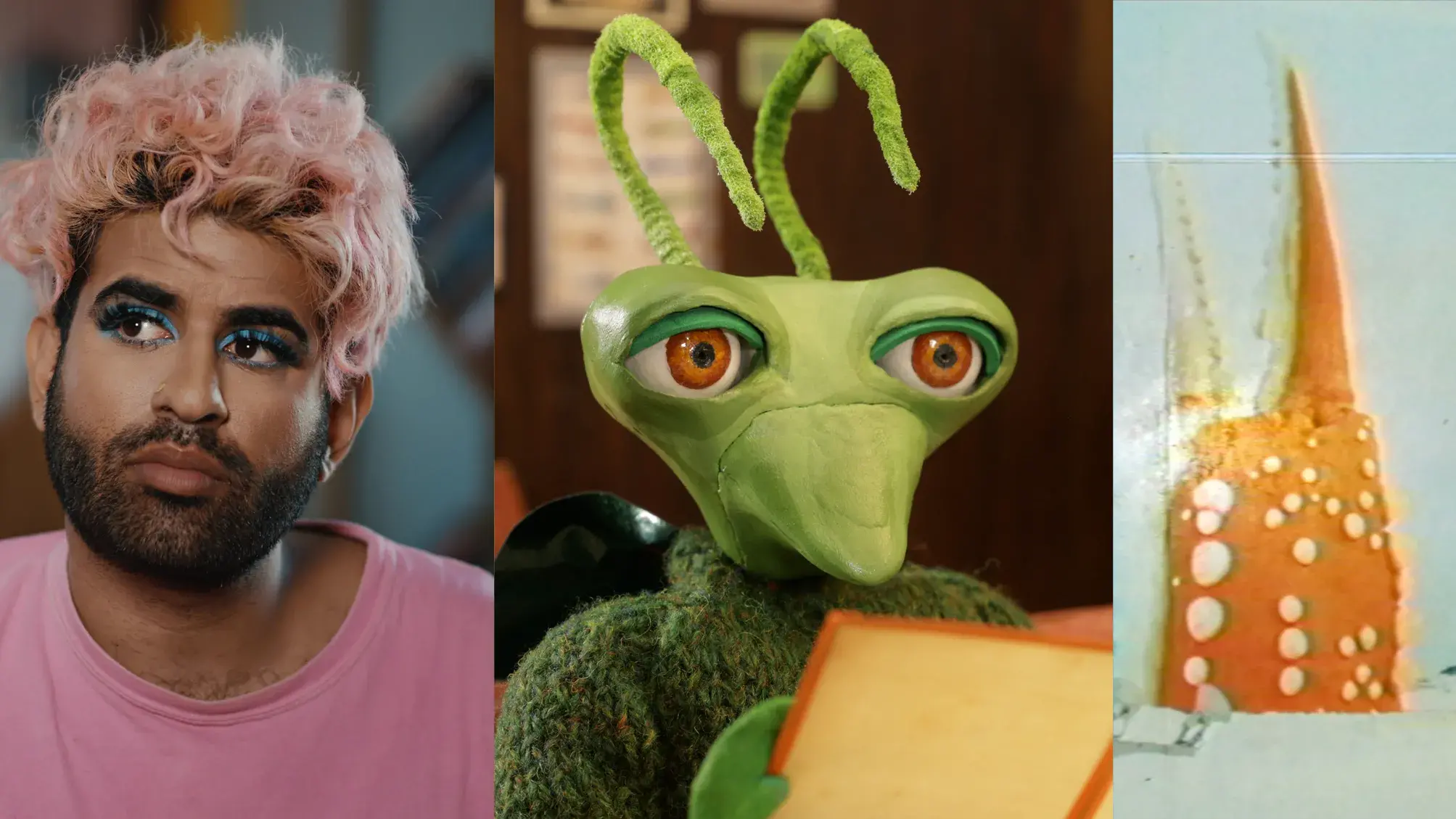 On the left, a portrait of a person with pink hair, blue makeup, and a pink shirt. In the middle, a puppet-like depiction of a preying mantis. On the right, a grainy image of a large crab claw against a blue background with a girl in the foreground.