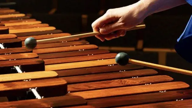 A man playing the xylophone.