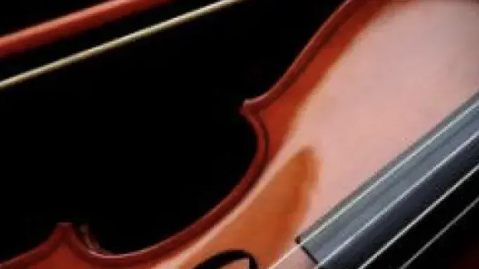 Violin and violin bow with a black background