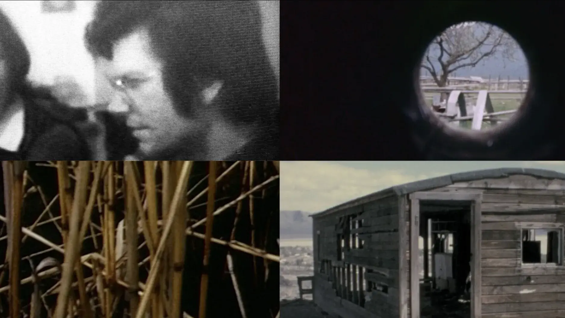 Four photos from Nancy Holt's short films.    