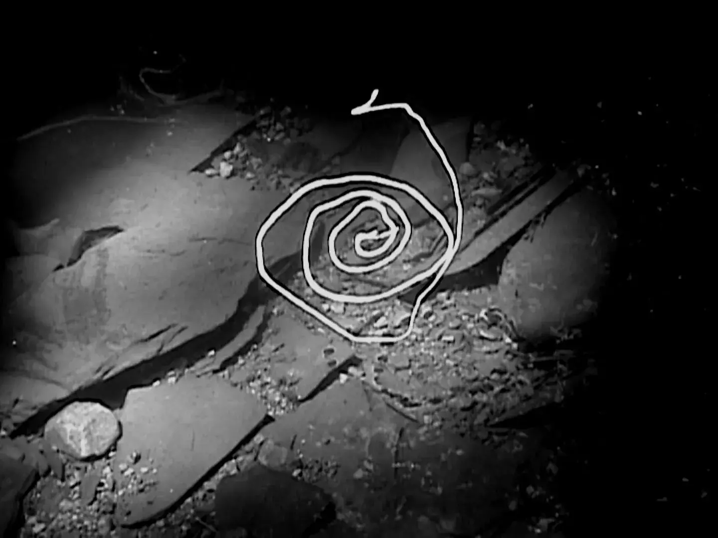 A thin white spiral is visible over a grayscale background