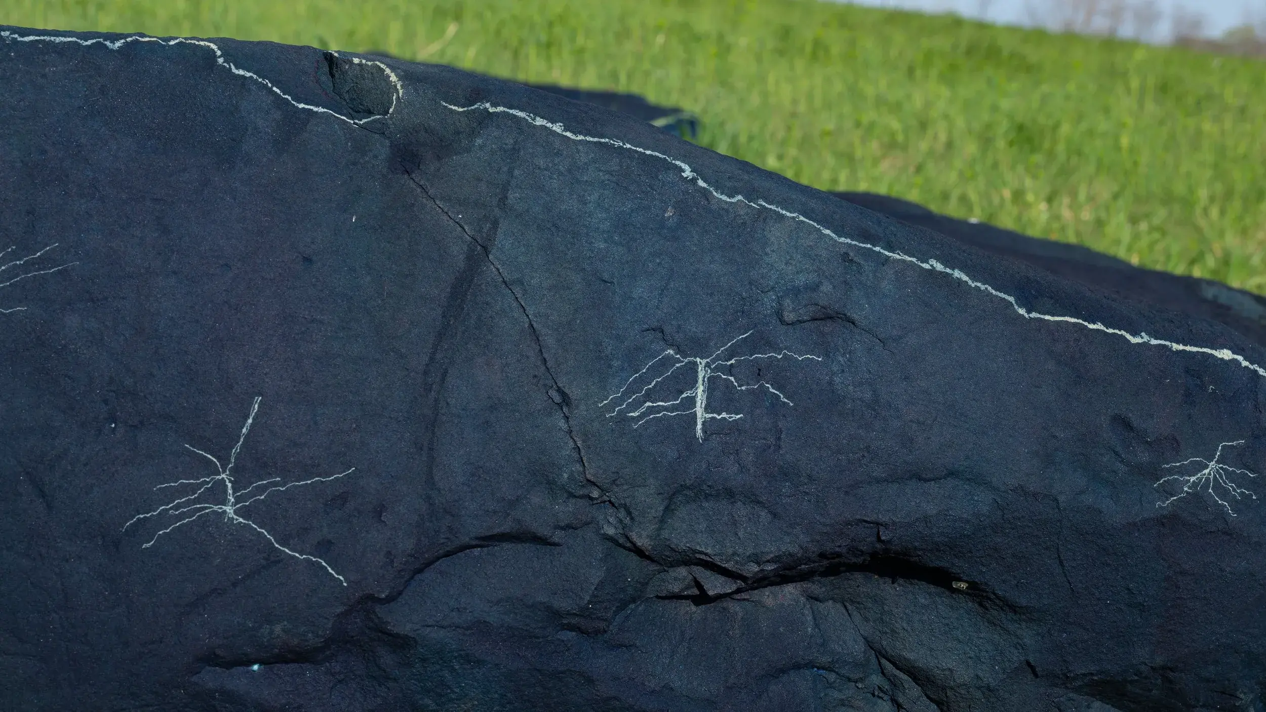 A dark rock with some lighter markings on it sits in a green field