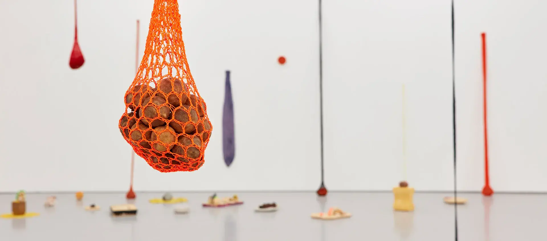 A suspended mesh bag of round objects is in the foreground with other suspended objects and items on the floor behind it