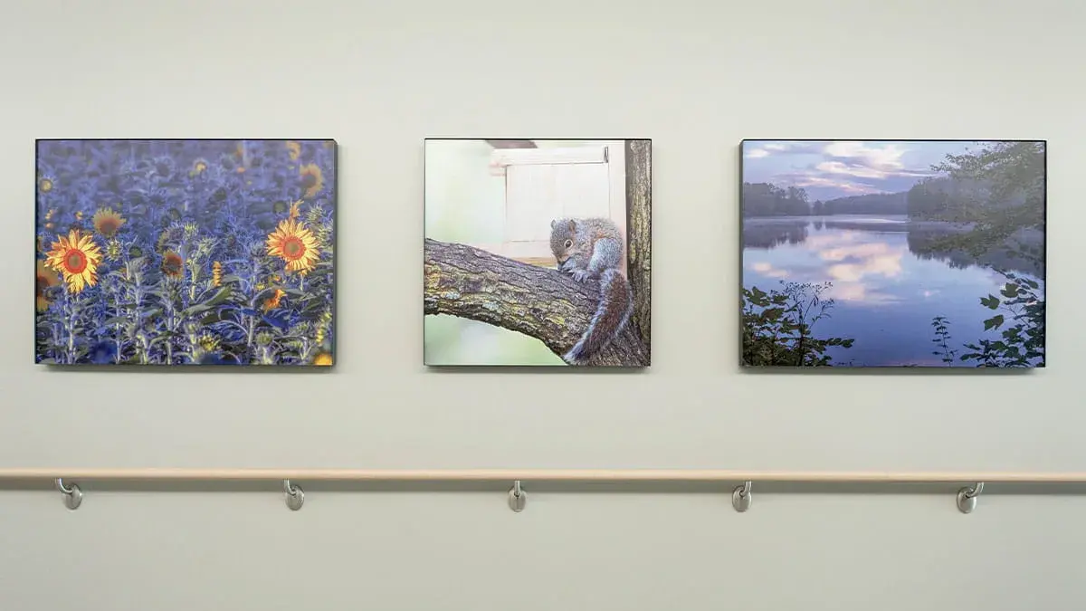 3 photographs of various landscapes in Ohio are mounted on a wall