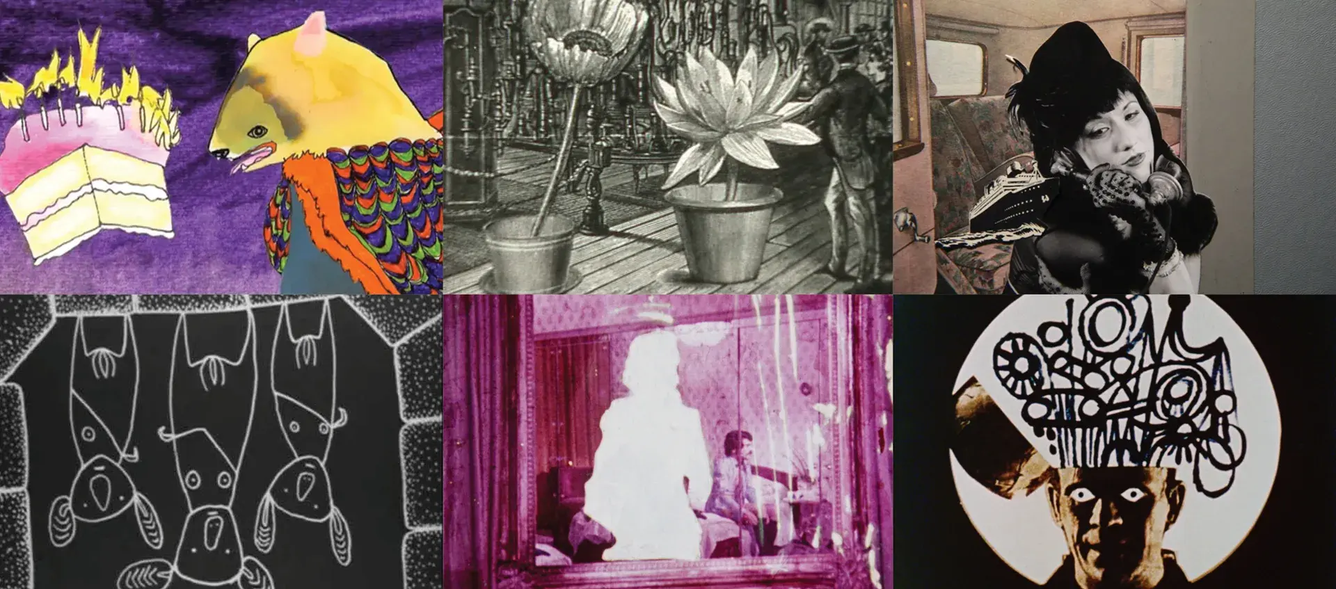 Six stills from films in the Any-mation shorts program.