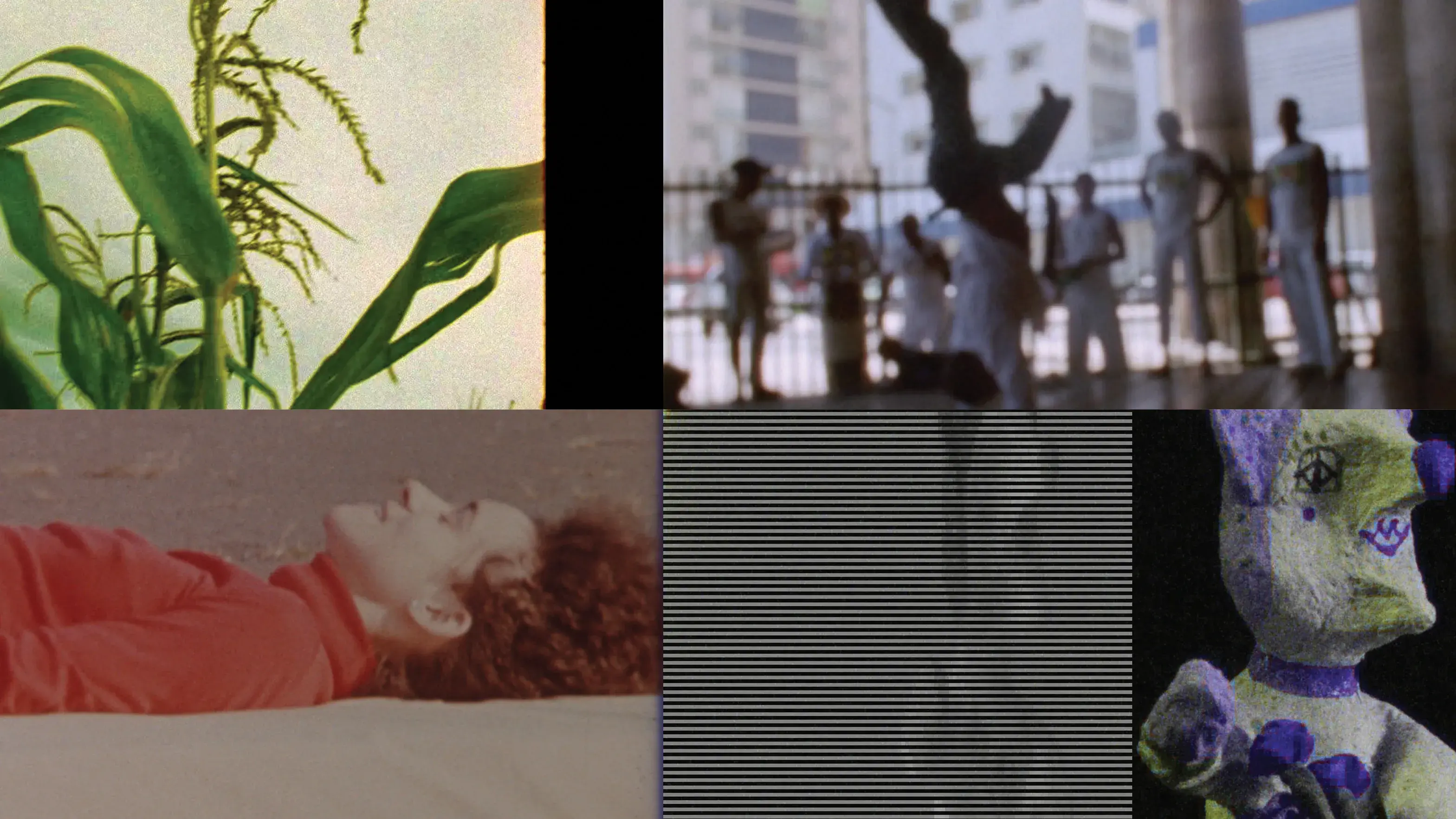 Four stills from the Reel Rhythms shorts program.