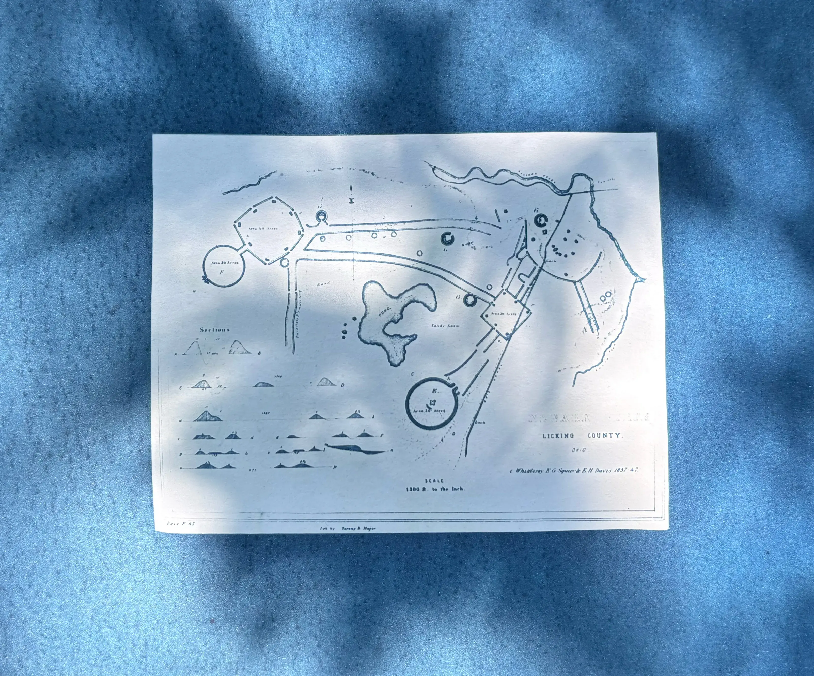 A blue on white cyanotype on a blue background