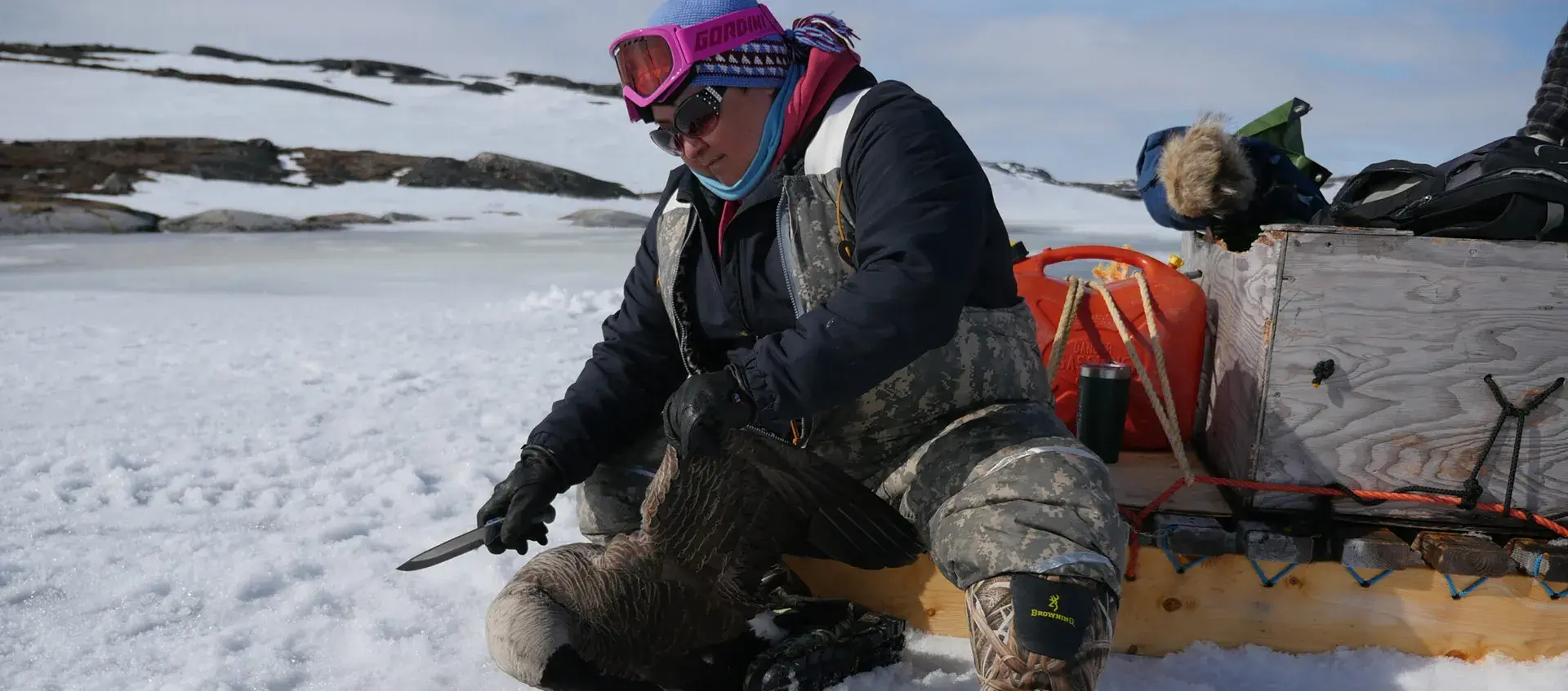 A person sits on a sled in the snow holding a knife up to a Canada goose.