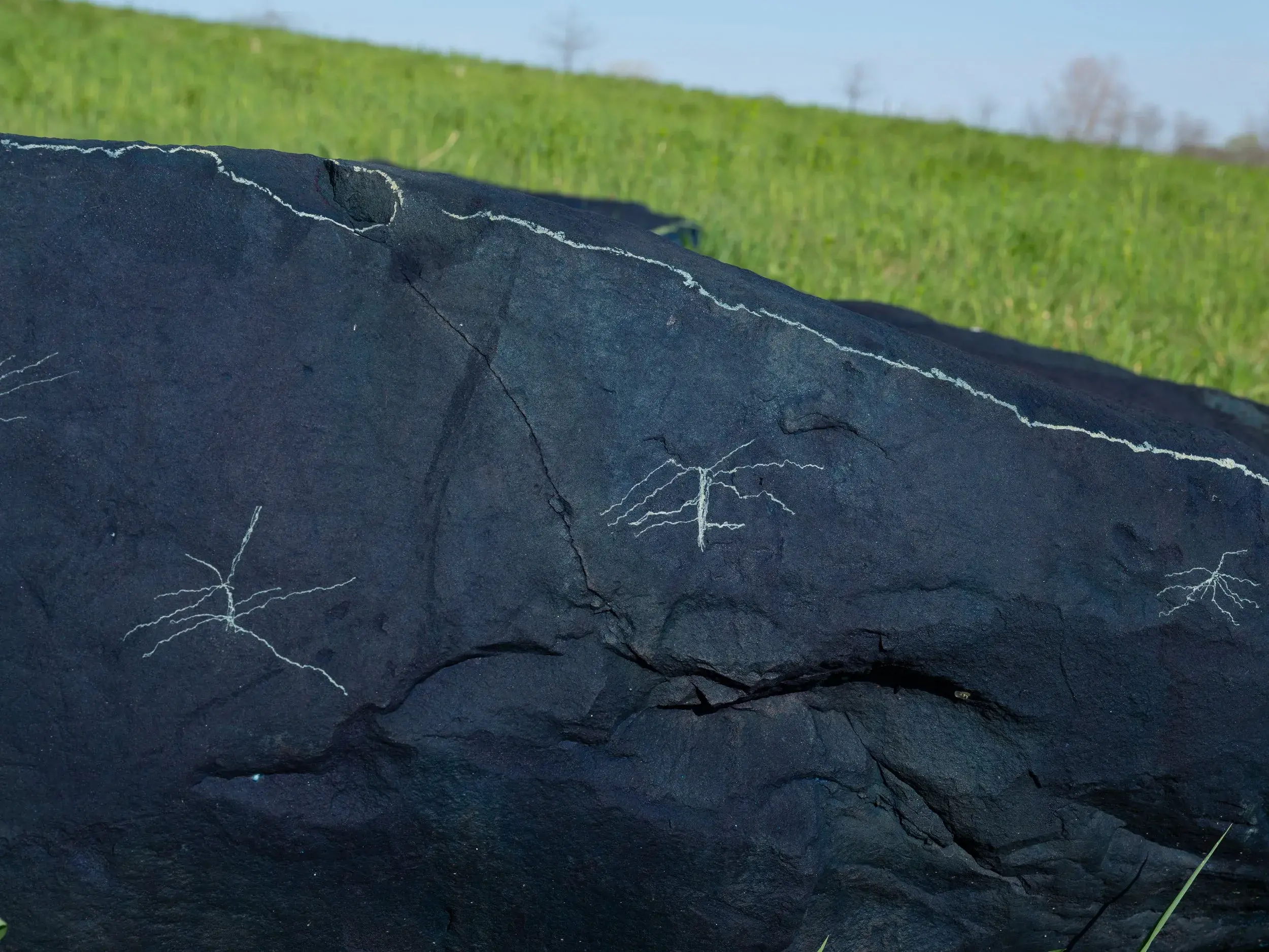 A dark rock with some lighter markings on it sits in a green field