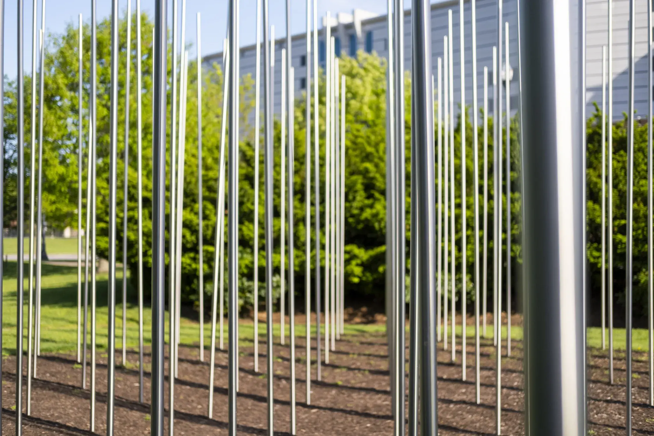 Tall, thin, silver metal rods stand in a grid in front of trees and a building in the background