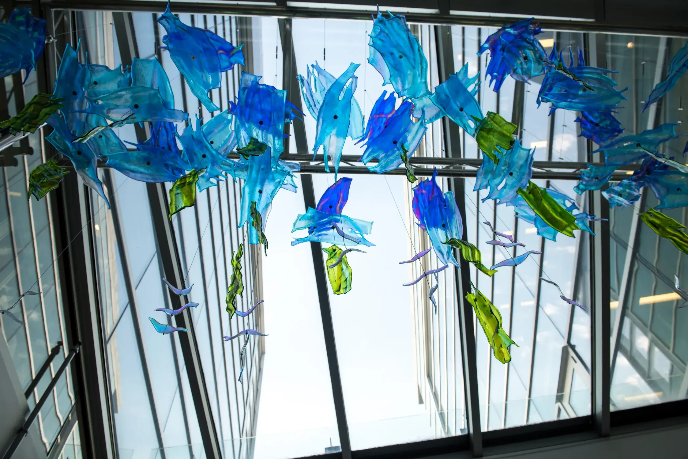 Small wavy glass pieces in blue and green in abstract shapes are suspended on cables in front of glass windows.