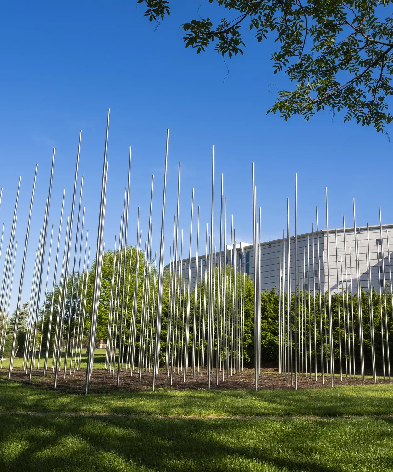 Tall, thin, silver metal rods stand in a square grid in front of trees and a large building in the background