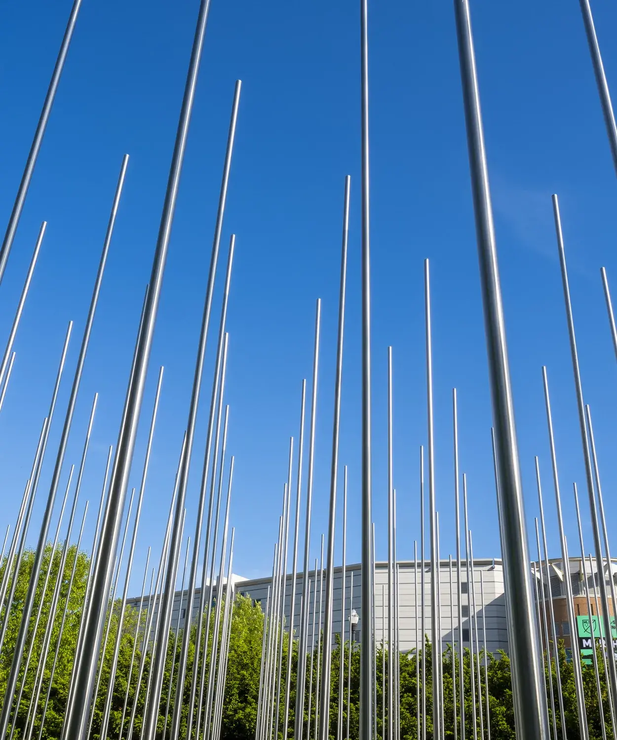 Tall, thin, silver metal rods stand in a grid in front of a bright blue sky with trees and a building in the background