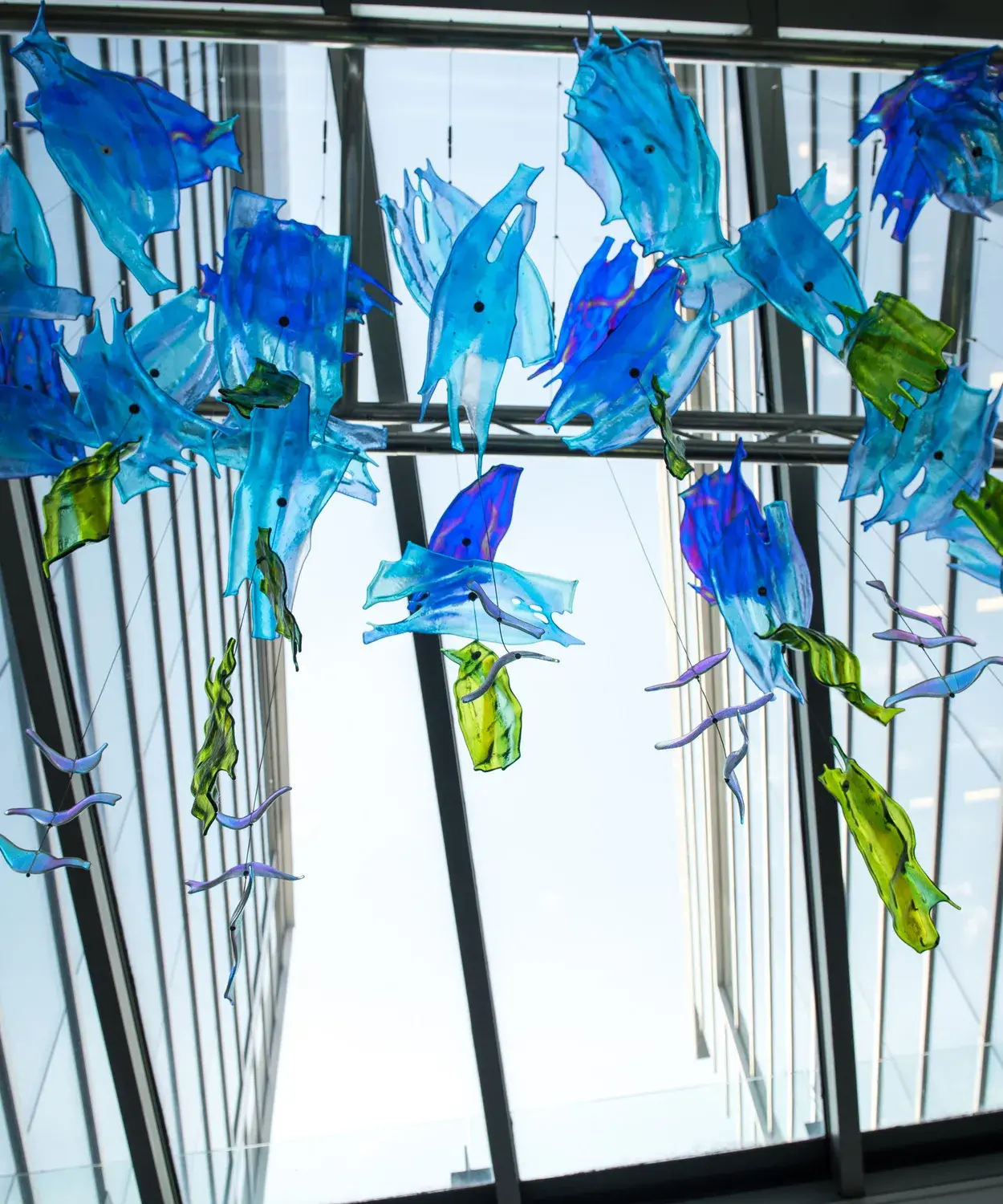 Small wavy glass pieces in blue and green in abstract shapes are suspended on cables in front of glass windows.