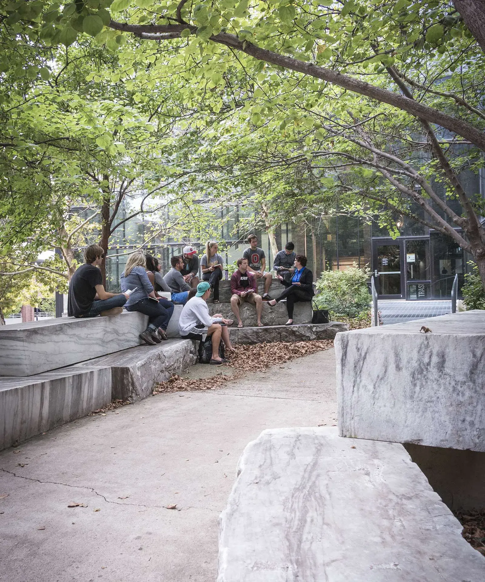 Students sitting on slabs of white and gray marble which sit alongside a walkway in a courtyard with trees, next to a glass building wall 