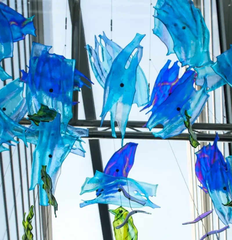 Small wavy glass pieces in blue and green in abstract shapes are suspended on cables in front of glass windows.